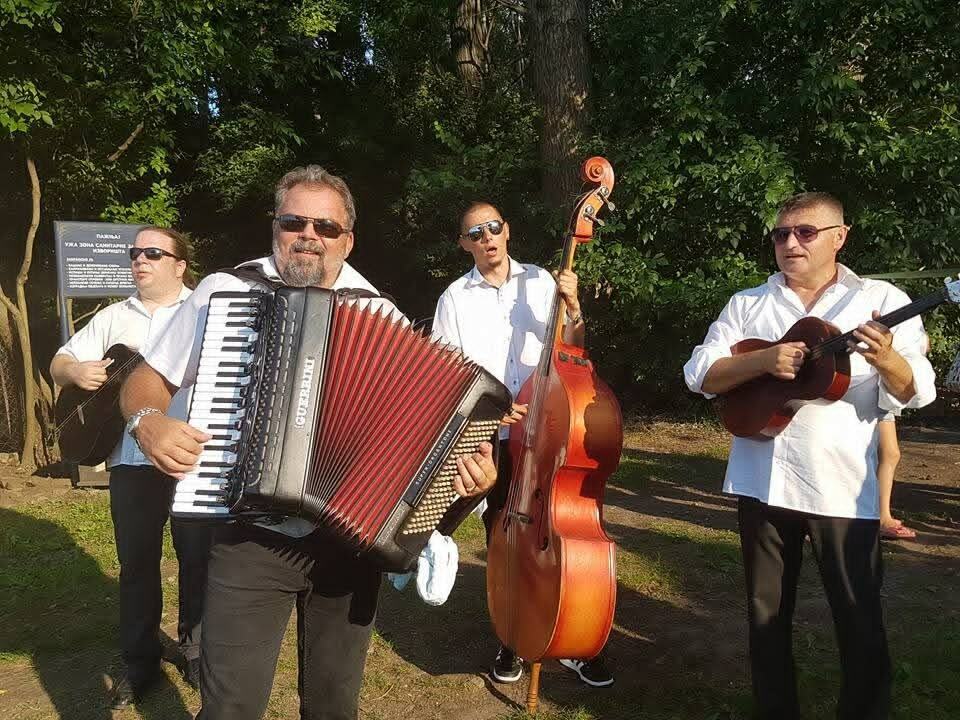 Dragan Jurić Jurke harmonikaš (4).jpg