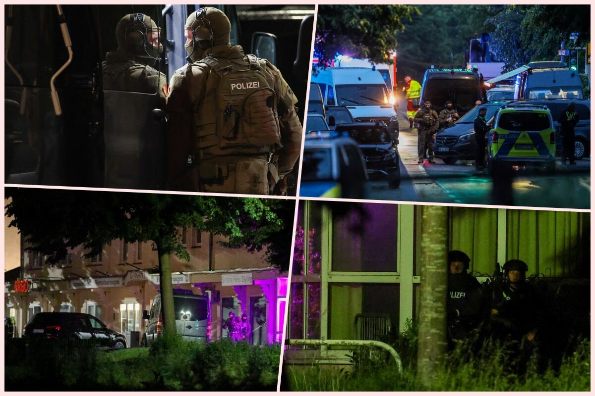 collage.jpg