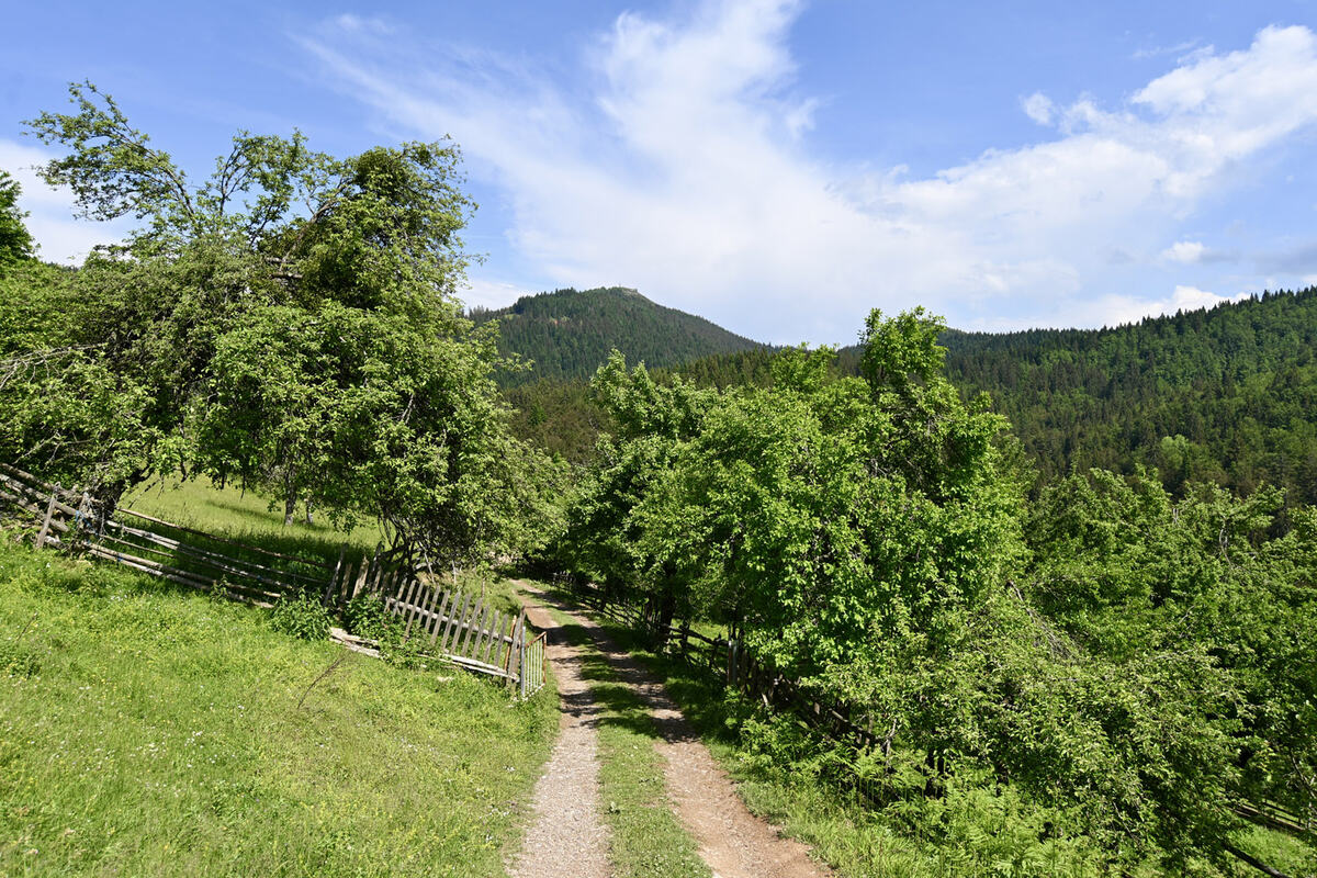 MKC_6016.jpg