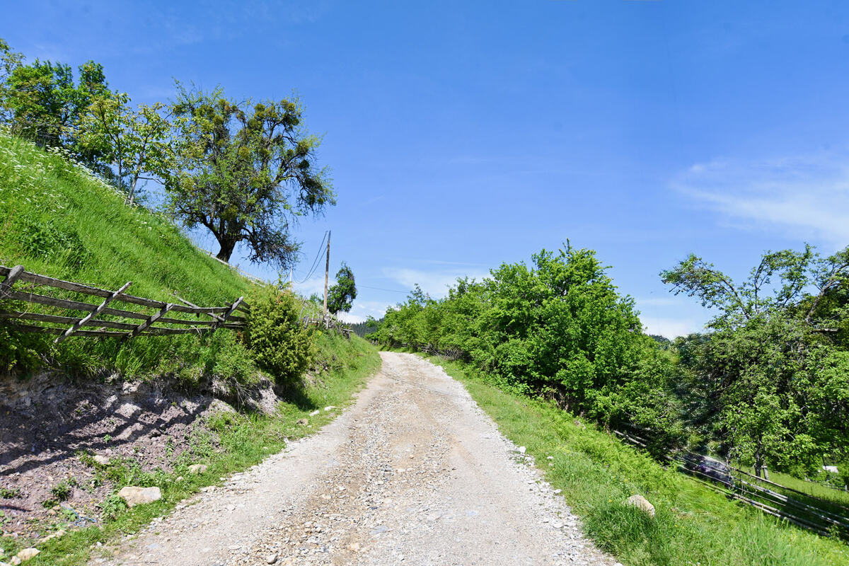 MKC_6018.jpg