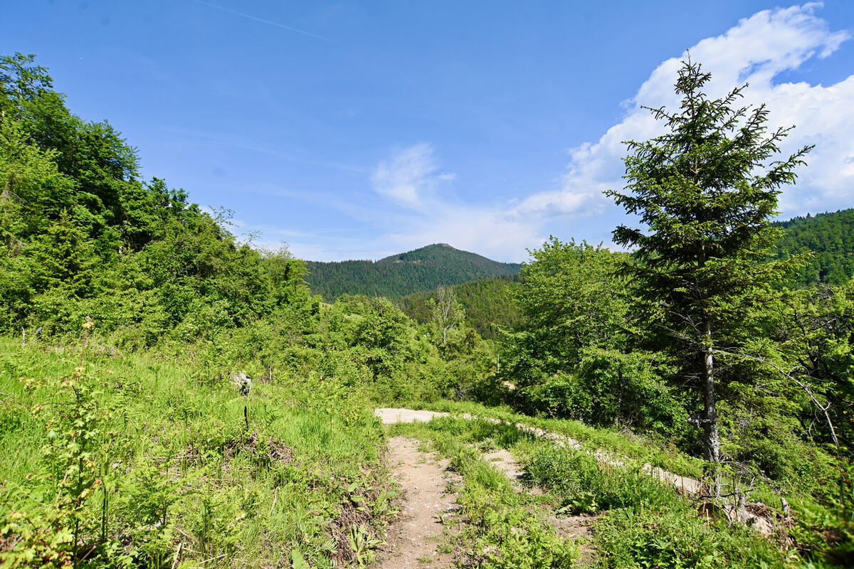MKC_6038.jpg
