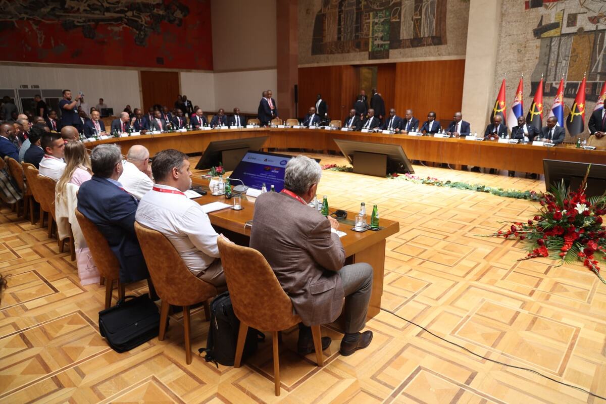 Okrugli sto Srbija Angola (9).jpeg