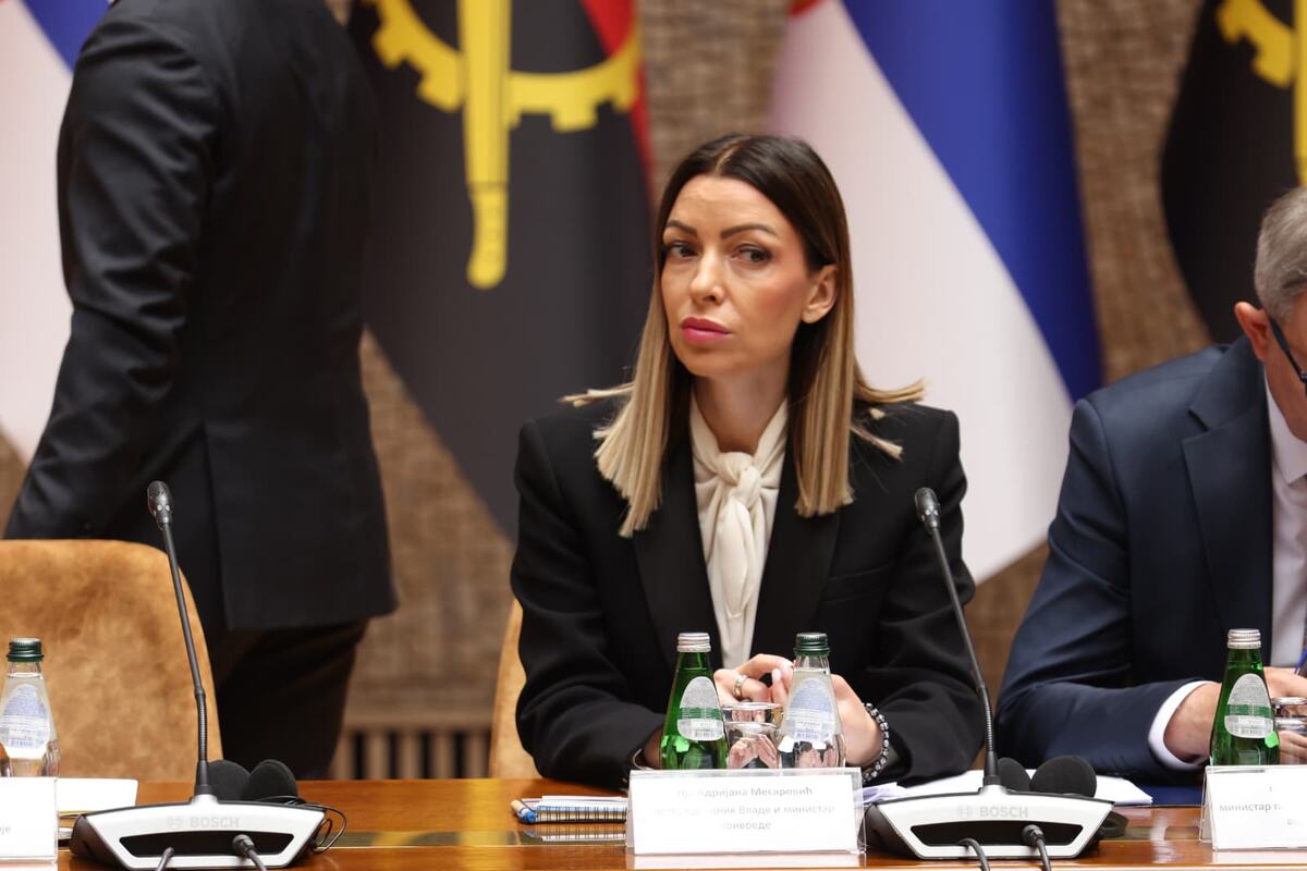 Okrugli sto Srbija Angola (11).jpeg