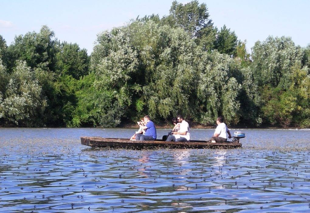 Kanjiža reka Tisa vodeni cvetovi (5).jpeg
