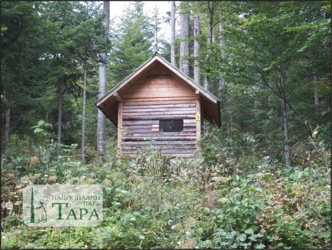 Foto NP Tara - posmatranje medveda (1).jpg