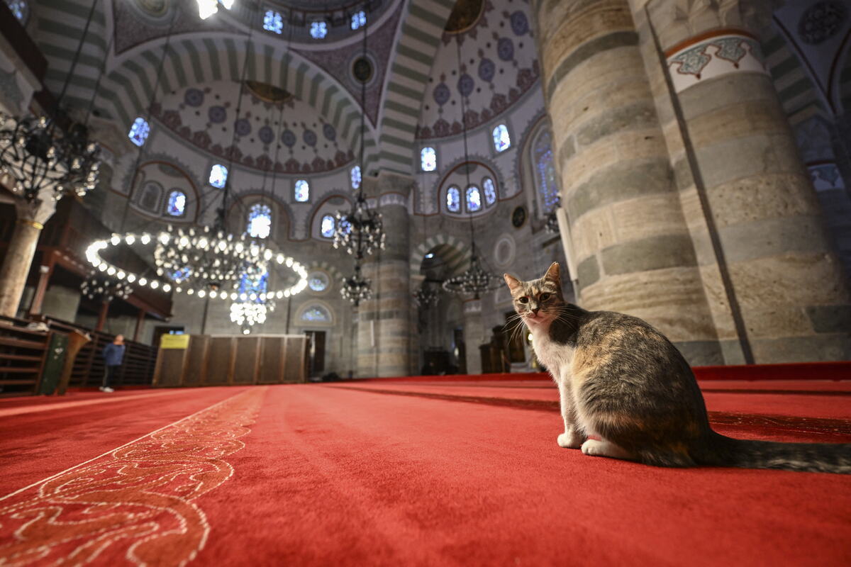 Džamija sultanije Mihrimah u naselju Uskudar u Istanbulu