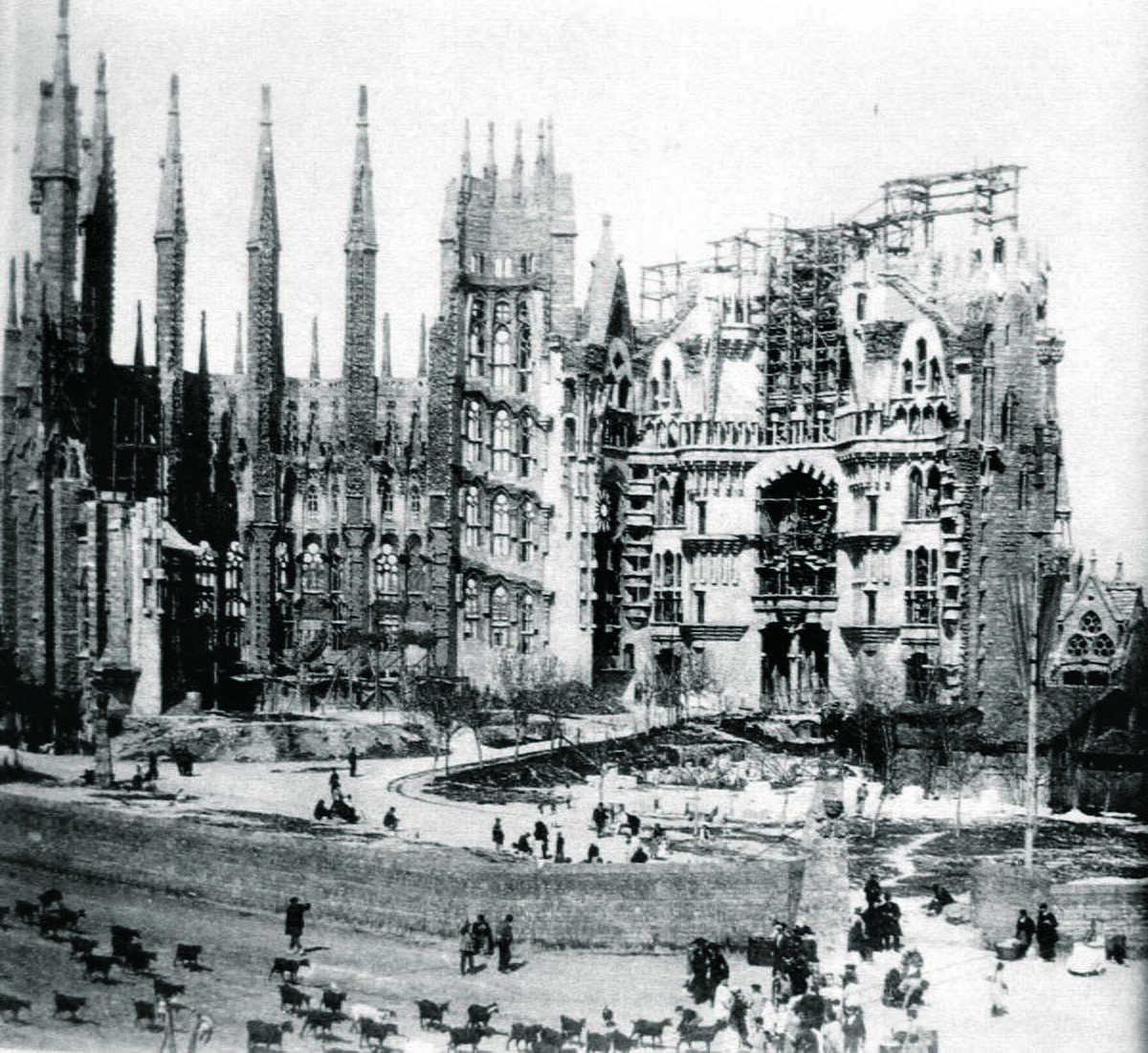 1915.jpg