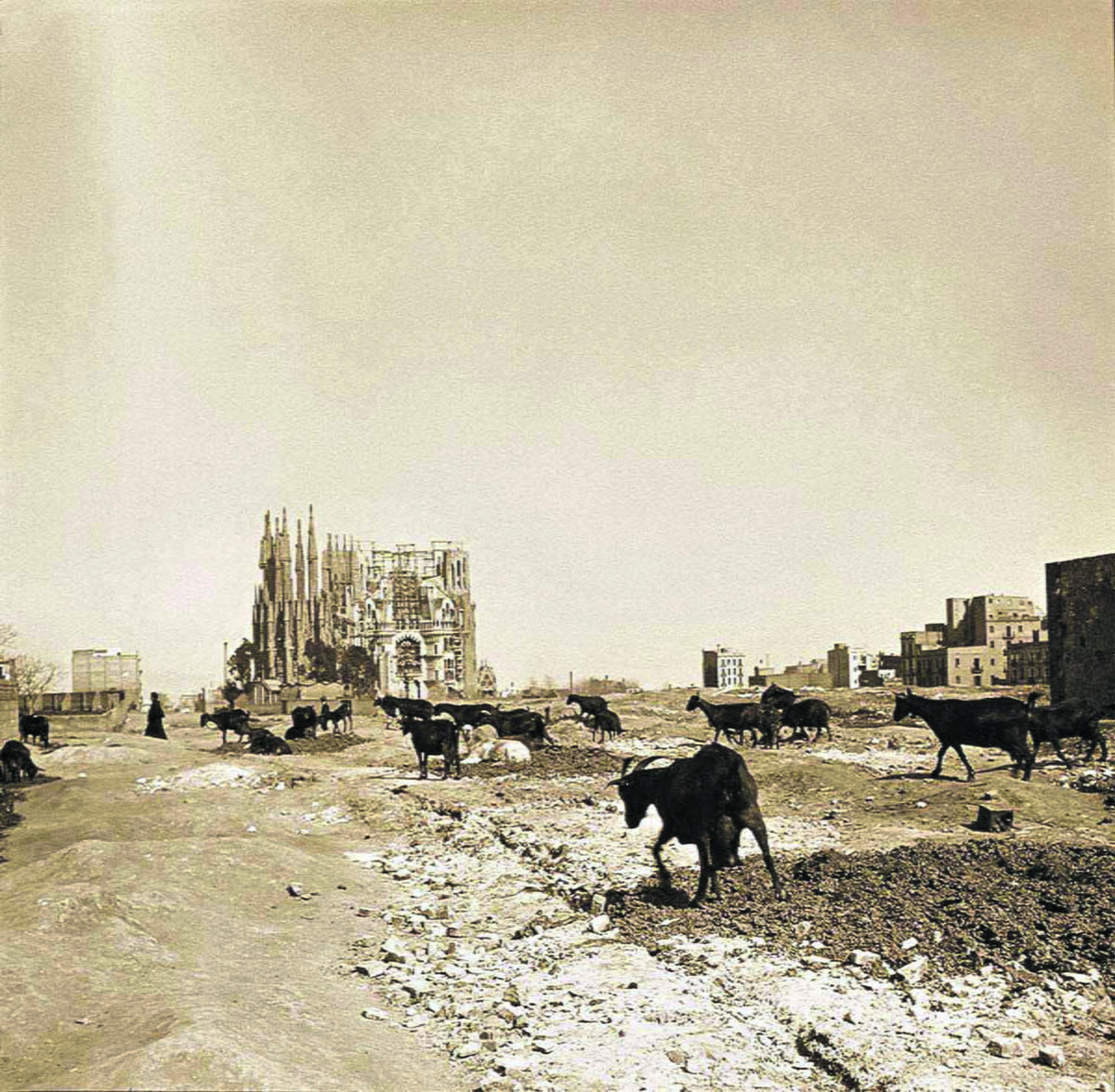 1906.jpg