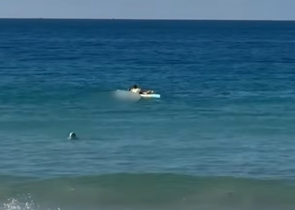 Australija Sidnej Plaža Kudži Coogee Beach (5).png