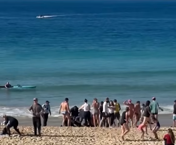 Australija Sidnej Plaža Kudži Coogee Beach (3).png