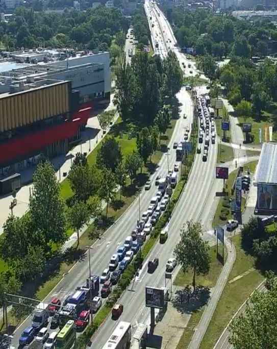 jutarnji špic