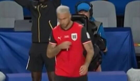 Arnautović 3.jpg