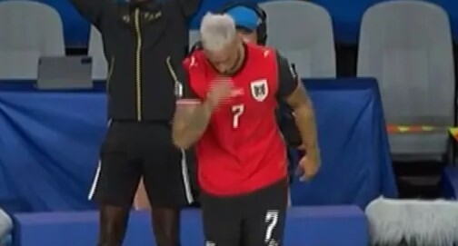 Arnautović 4.jpg