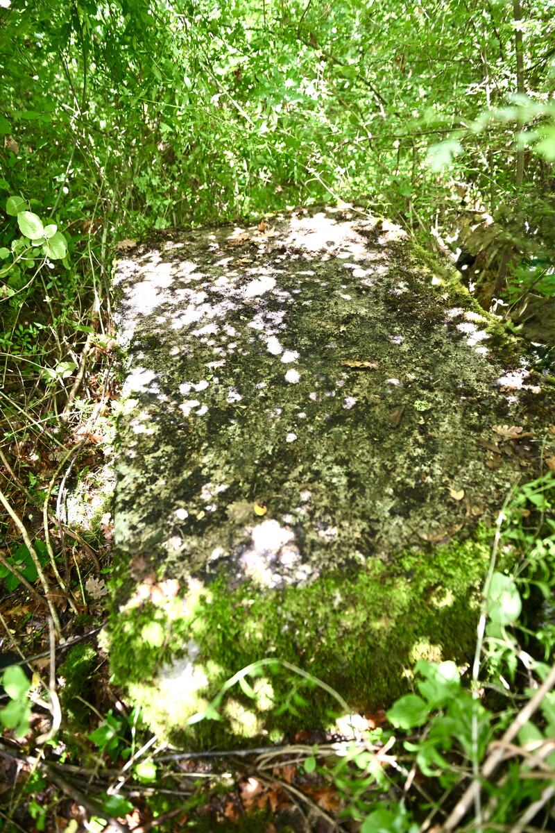 MKC_6514.jpg