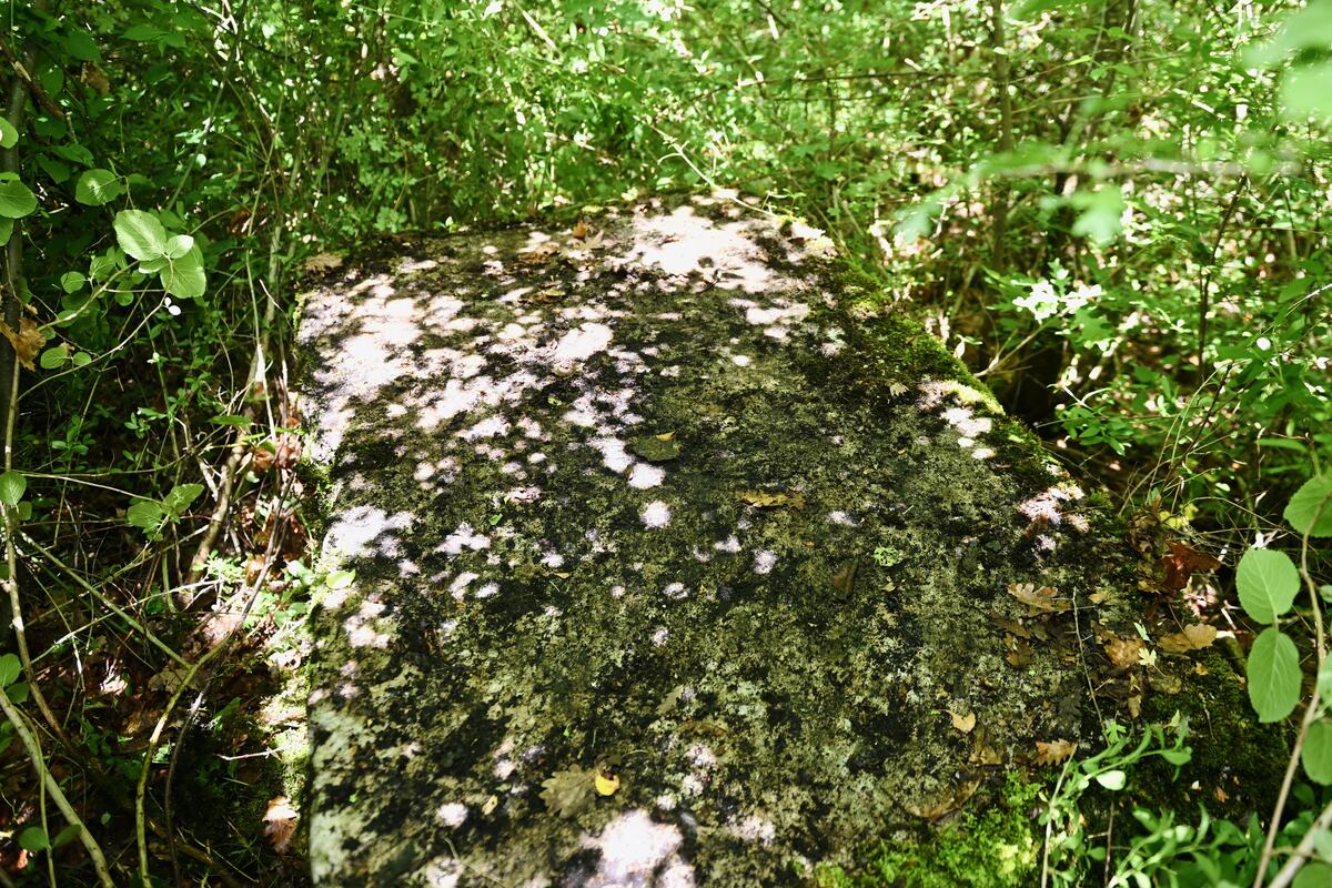 MKC_6516.jpg