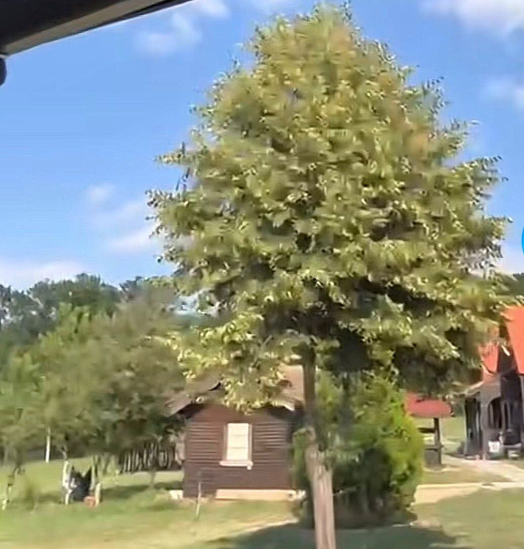 f48718e9-60ec-4809-b32d-bd44e7bbccd1.jpeg