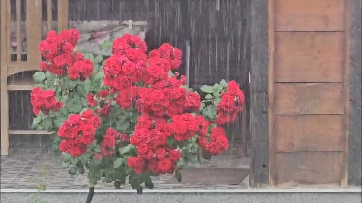 Kiša u Čačku - Foto - RINA_1.1.3.jpg