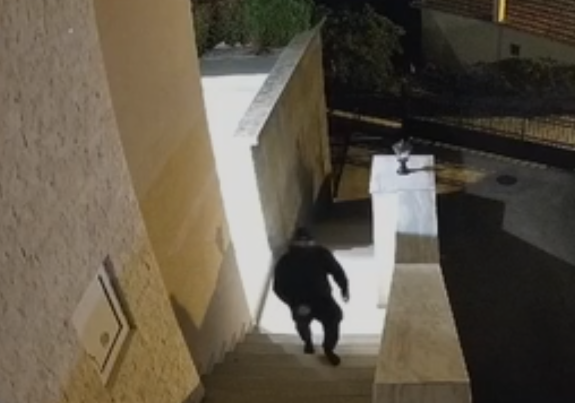 nindže lopovi ulcinj (2).png