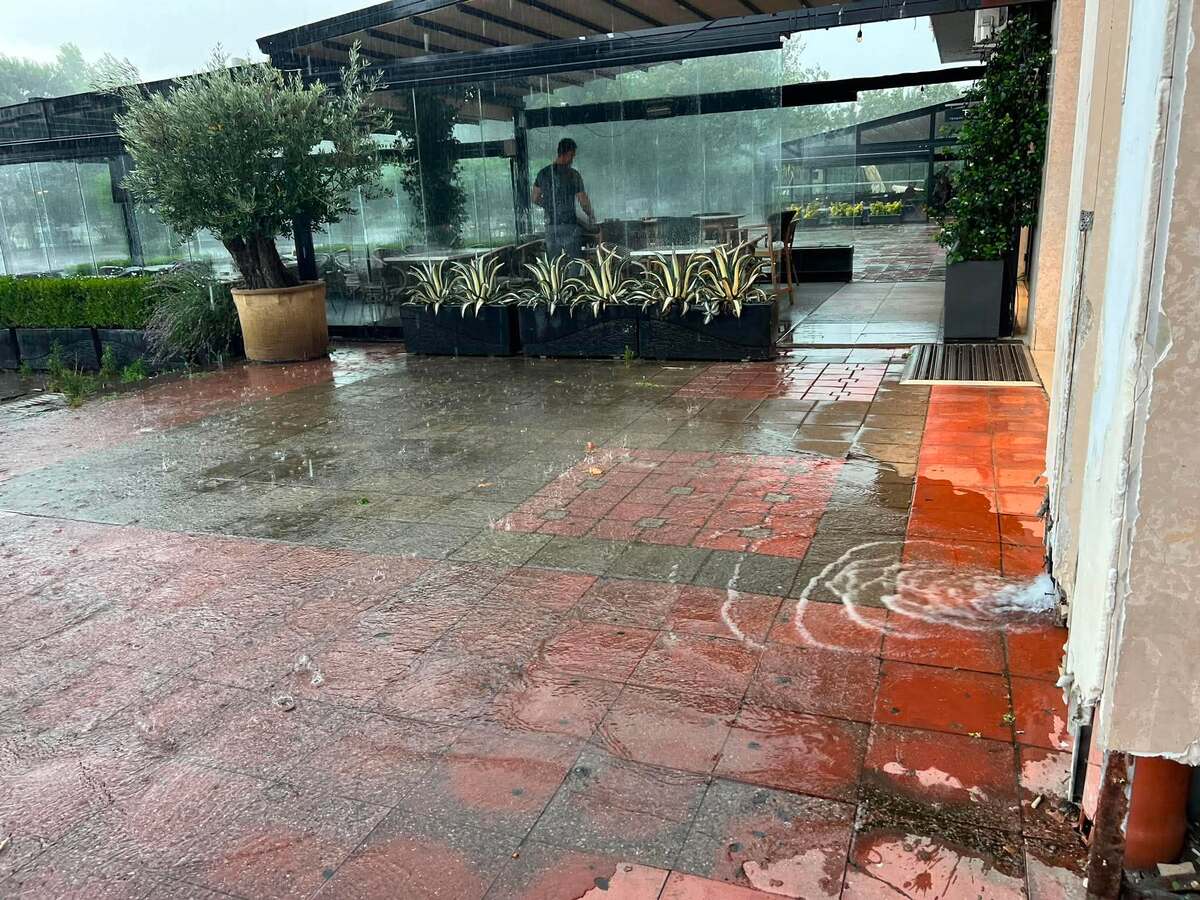 nevrme-podgorica5-foto-rina.jpg