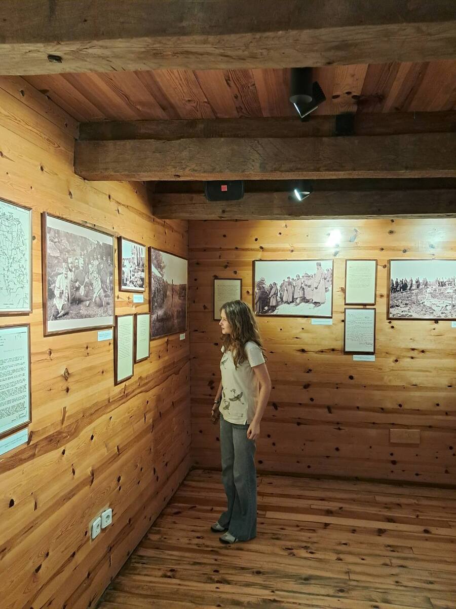 Autor fotografija Matija Mićić - Sa izložbe o đeneralu Krsti Smiljaniću (16).jpg