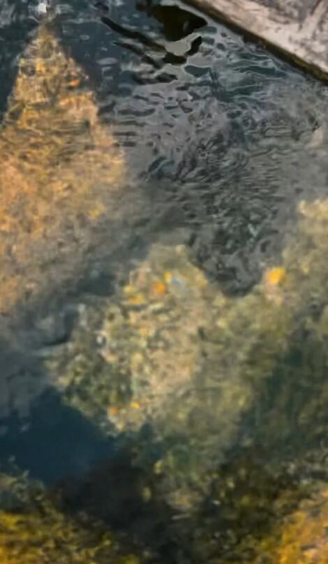 Screenshot_8.jpg