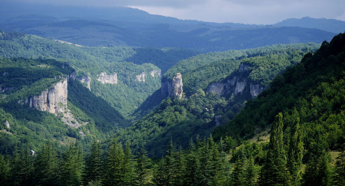 Kacki stub
