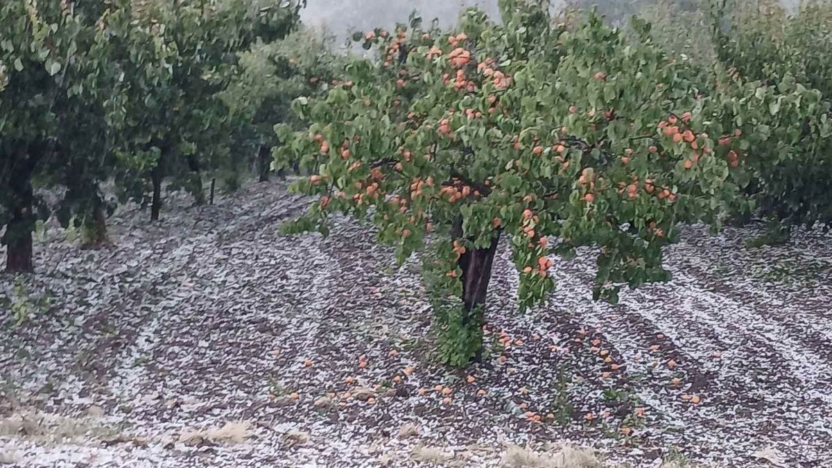 Čačak nevreme grad (2).jpg