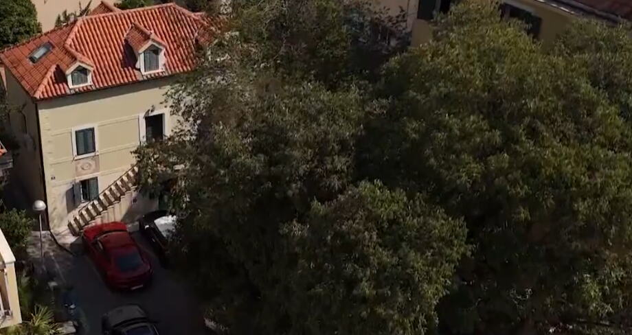 Kuća Petra Graša u Splitu