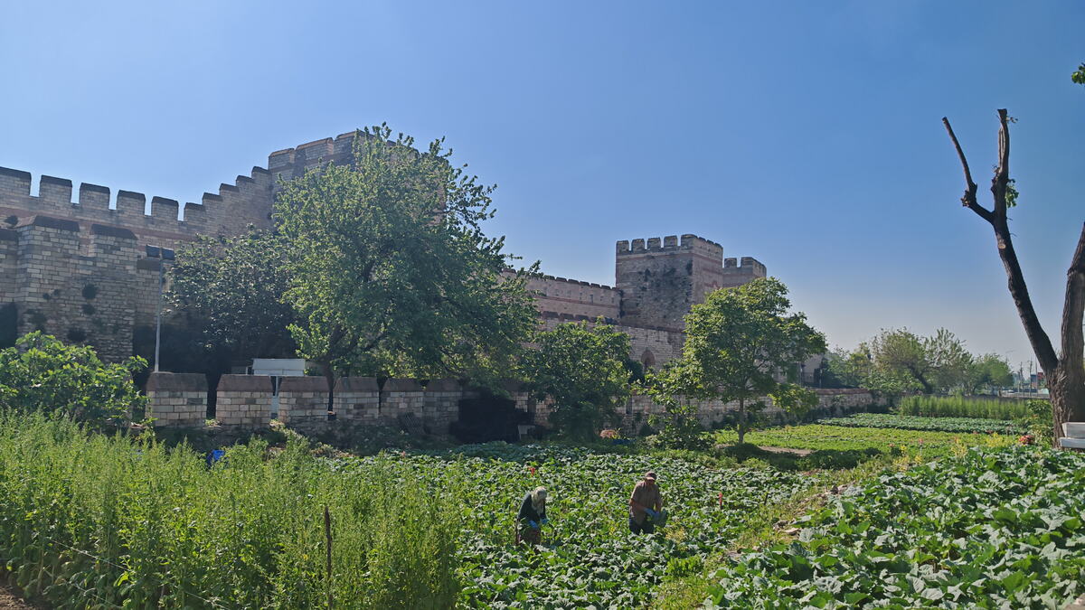 IMG_20260519_100811.jpg