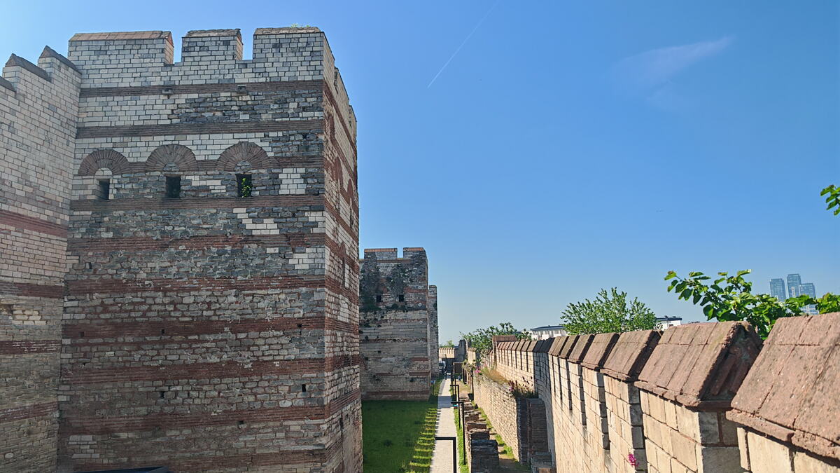 IMG_20260519_095637.jpg