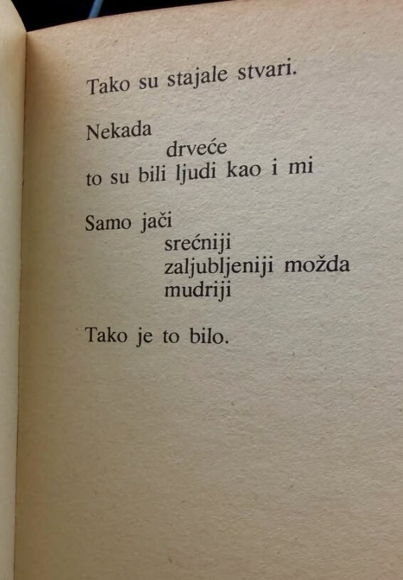 dragana kosjerina 3.png