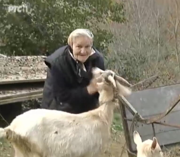 Radmila Krsmanović sa svojim kozama u selu Gokčanica
