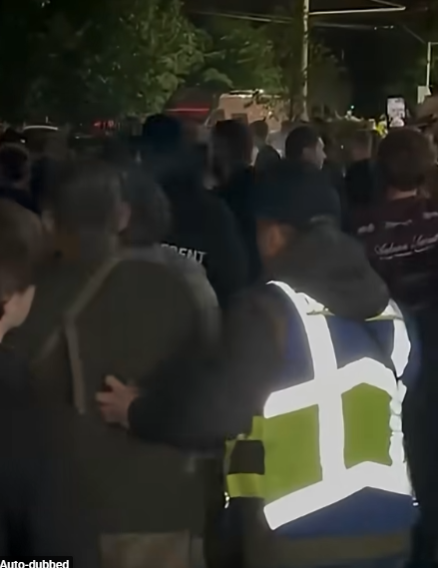 Mobilizacija (6).png