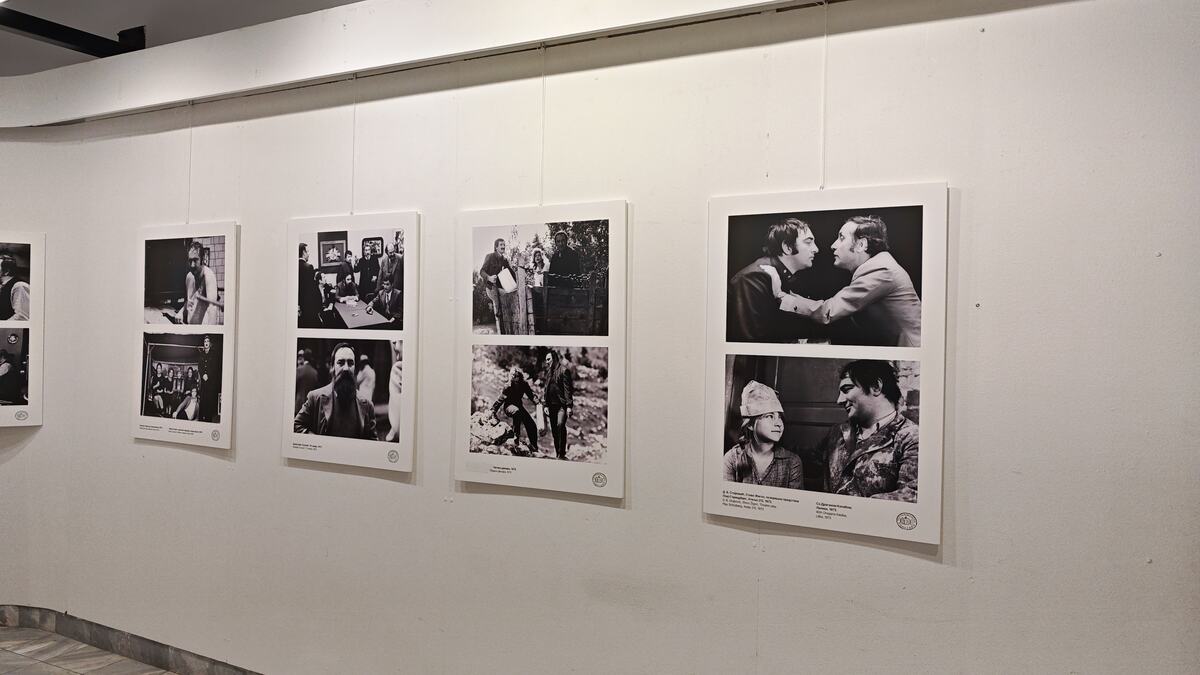 Izložba u čast Danilu Bati Stojkoviću