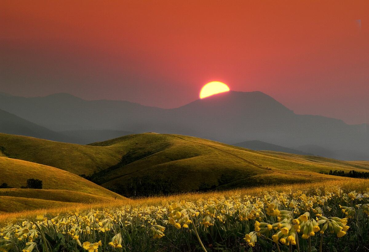 Planina Divcibare, Valjevo ,Zalazak Sunca Priroda , Leto , Autori Miroslav Jeremic (3) copy.jpg