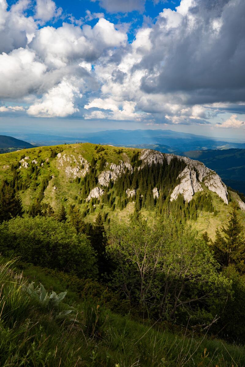 Kopaonik ,priroda,leto-autor Andrej Nihil copy.jpg