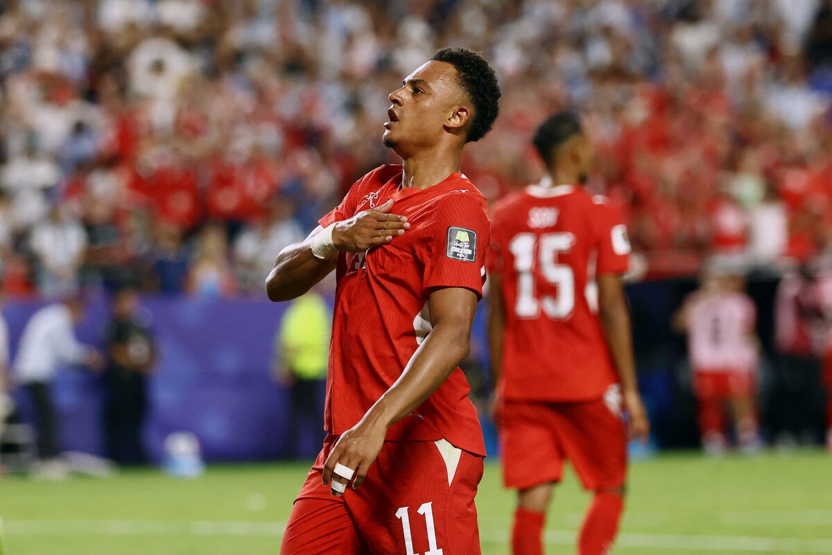 Dan Endoj slavi gol na meču Argentina - Švajcarska