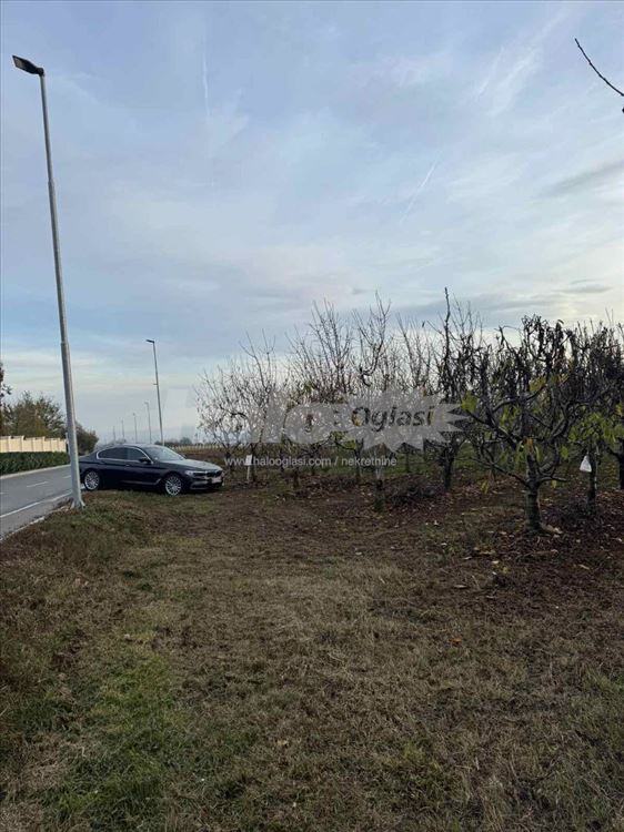 prodajem-plac-s-slankamen-4ha-pod-vocem-uz-sa-5425647412916-71816402090.jpg
