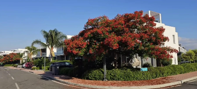 Screenshot 2026-07-22 102209.png
