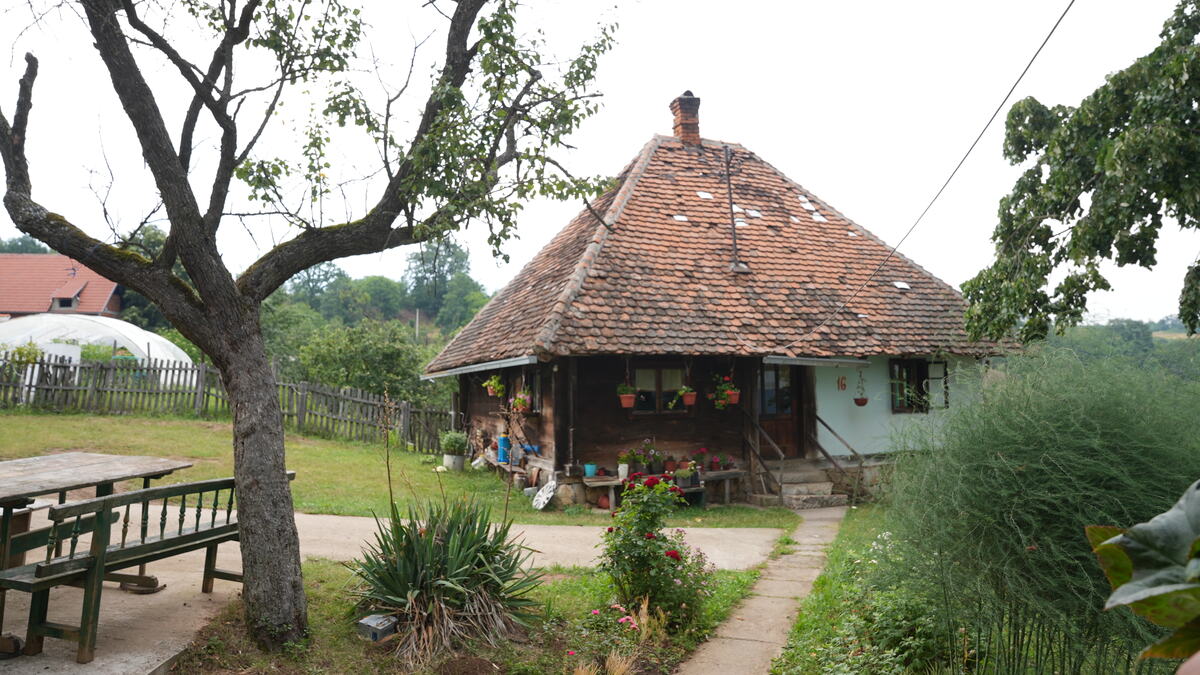 kosjeric-ogla-pedja-fotorina51.JPG
