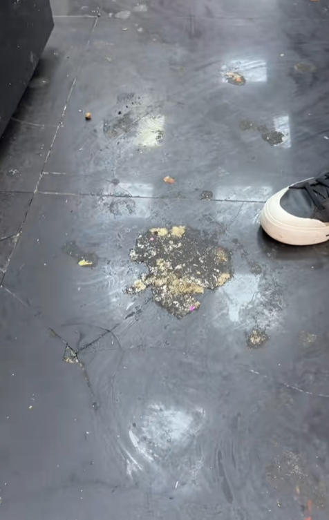 HOROR U BELOJ KUĆI ELITE! Hrana truli iza kreveta, insekti gmižu na sve strane, a frižider je POSEBNA PRIČA (FOTO)