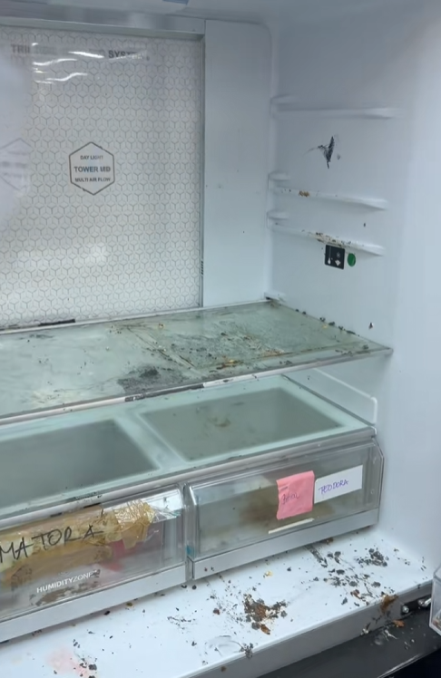HOROR U BELOJ KUĆI ELITE! Hrana truli iza kreveta, insekti gmižu na sve strane, a frižider je POSEBNA PRIČA (FOTO)