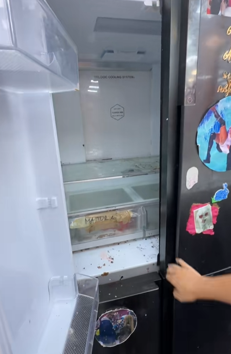 HOROR U BELOJ KUĆI ELITE! Hrana truli iza kreveta, insekti gmižu na sve strane, a frižider je POSEBNA PRIČA (FOTO)