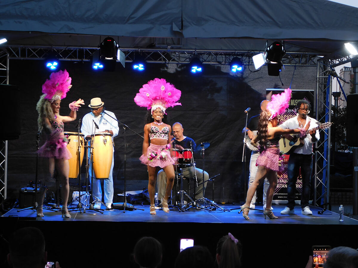 LOZNICA - Salsa i ponto.JPG