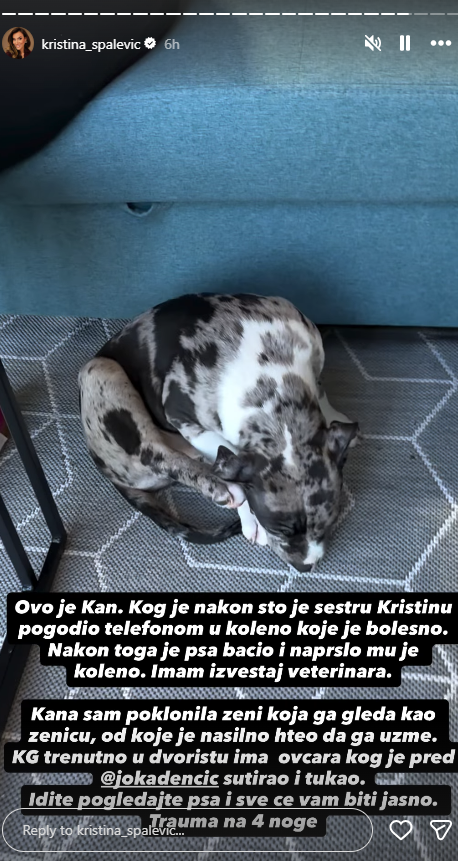 "OD UDARCA MU JE NAPRSLO KOLENO" Kristina Spalević objavila jeziv snimak povređenog psa, Kristijan priznao: "Bacio sam ga..." (VIDEO)