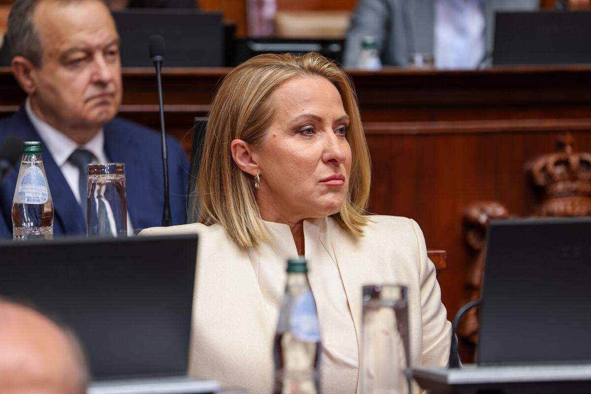 sednica skupštine skupština Sribja Narodna skupština  (3).jpeg