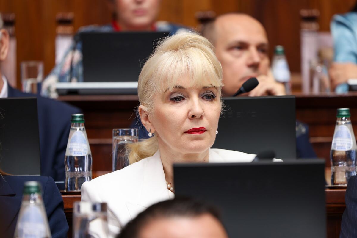 sednica skupštine skupština Sribja Narodna skupština  (7).jpeg