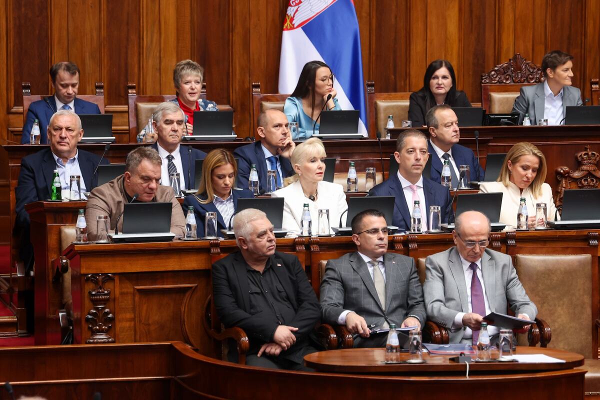 sednica skupštine skupština Sribja Narodna skupština  (17).jpeg