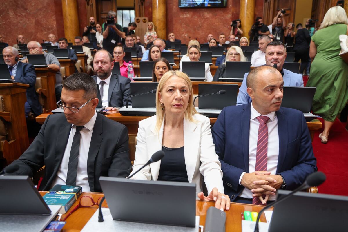 sednica skupštine skupština Sribja Narodna skupština  (28).jpeg