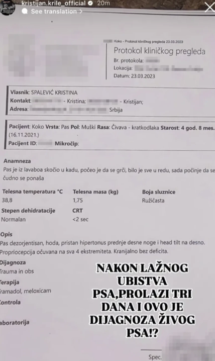 SKANDALOZNO! Isplivao izveštaj koji je Kristijan Golubović podneo veterinaru nakon optužbi za zlostavljanje psa - "Bilo je sve u redu, a sada..."